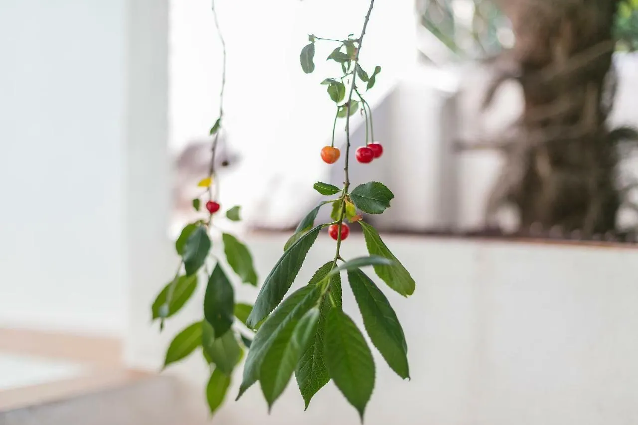 Fragrant Garden Apartment Lisboa