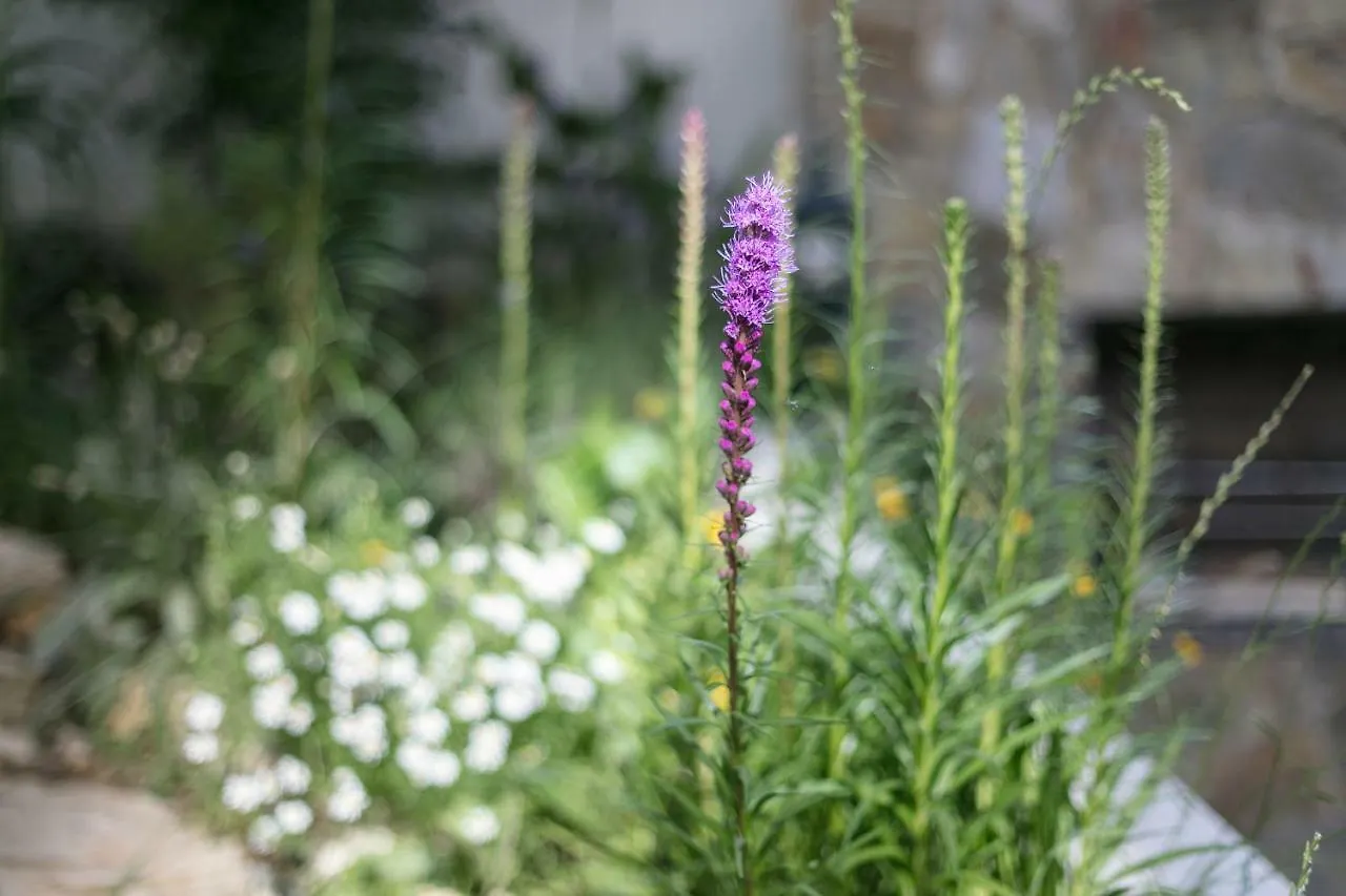 Fragrant Garden Apartment Lisboa